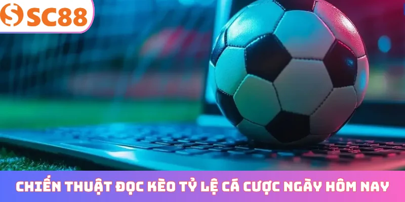 Chiến thuật đọc kèo tỷ lệ cá cược ngày hôm nay