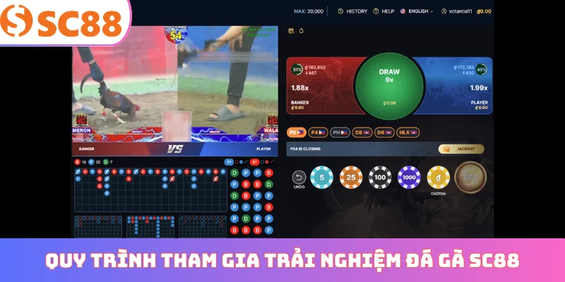 Quy trình tham gia trải nghiệm đá gà SC88